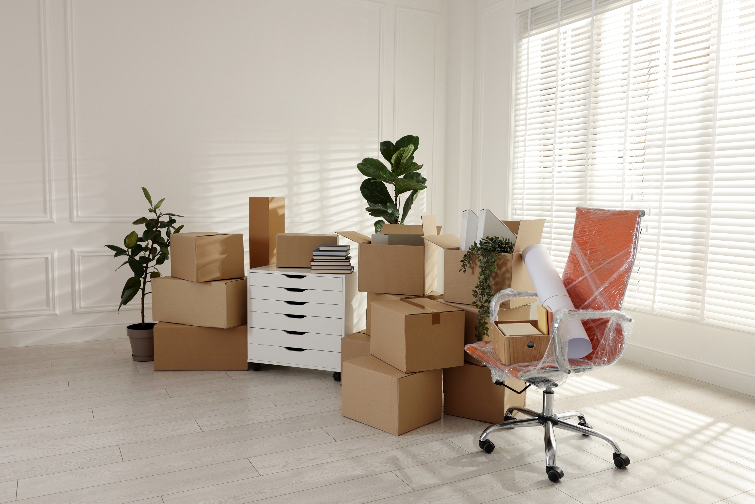 Living With A Hoarder: How To Keep Your Home Clean And Organised While Compassionately Supporting A Family Member With Hoarding Disorder